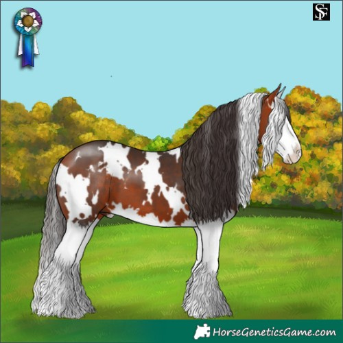 Horse Color:White Spotted Bay Splash
