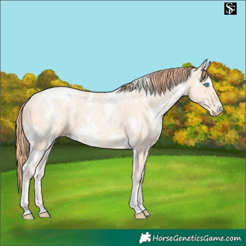 Horse Color:White Spotted Sable Cream Champagne Pearl Appaloosa 