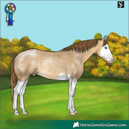 Horse Color:Sable Cream Champagne Dun Splash Appaloosa Rabicano 