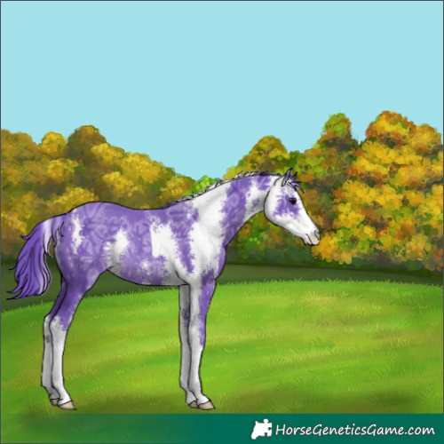 Horse Color:Watercolor Black Ice Sabino Rabicano