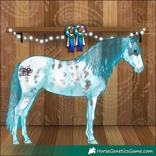 Horse Color:Thunderstruck Black Sabino Appaloosa