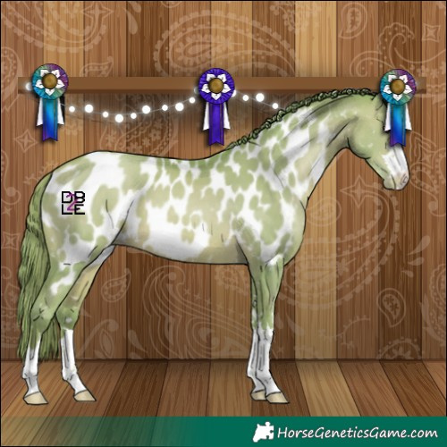 Horse Color:Watercolor Bay Pearl Appaloosa