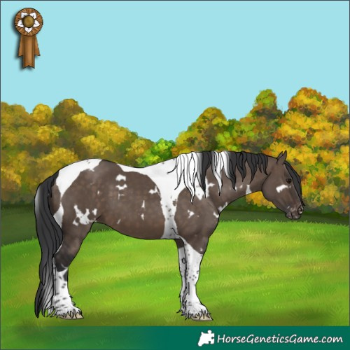 Horse Color:White Spotted Brown Dun Tobiano Skewed LP Spotted 