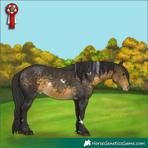 Horse Color:White Spotted Buckskin Skewed LP Spotted