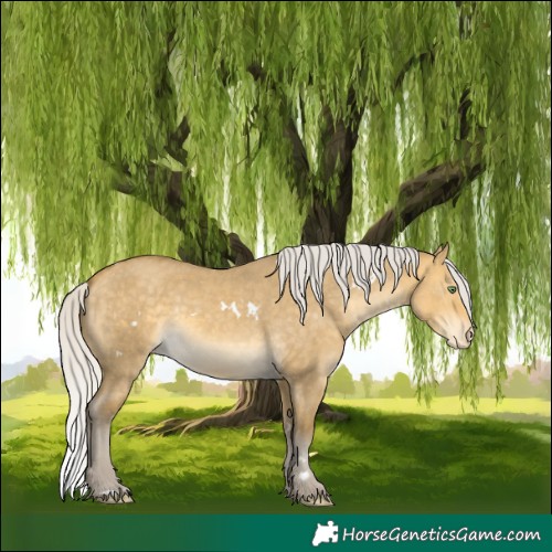 Horse Color:White Spotted Silver Sable Cream Champagne Dun Skewed LP Spotted 