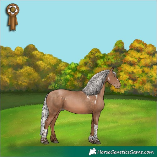 Horse Color:White Spotted Silver Brown Pearl Tobiano
