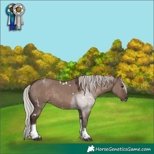 Horse Color:White Spotted Silver Grullo Mushroom Tobiano Rabicano