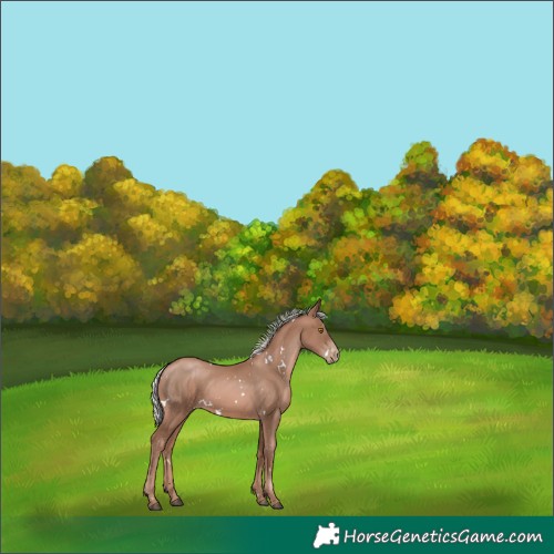 Horse Color:White Spotted Silver Black Pearl Mushroom