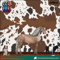 Horse Color:White Spotted Silver Black Pearl Mushroom 