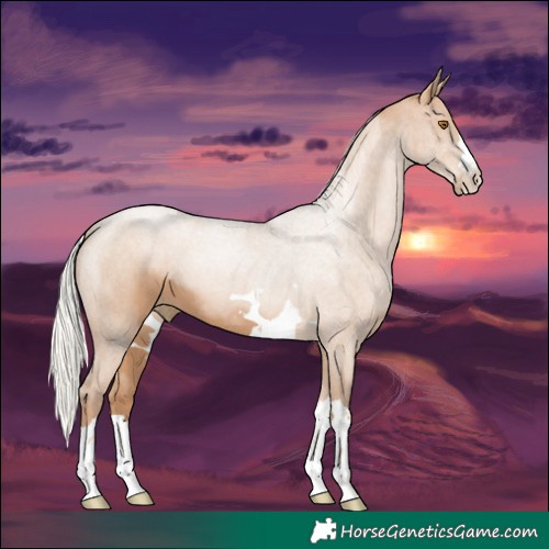 Horse Color:Silver Black Pearl 