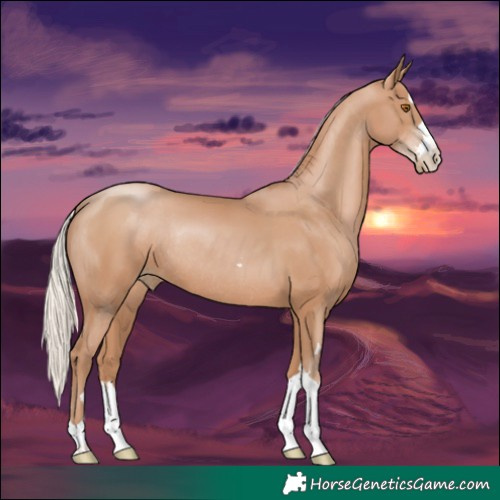 Horse Color:Silver Black Pearl Rabicano 