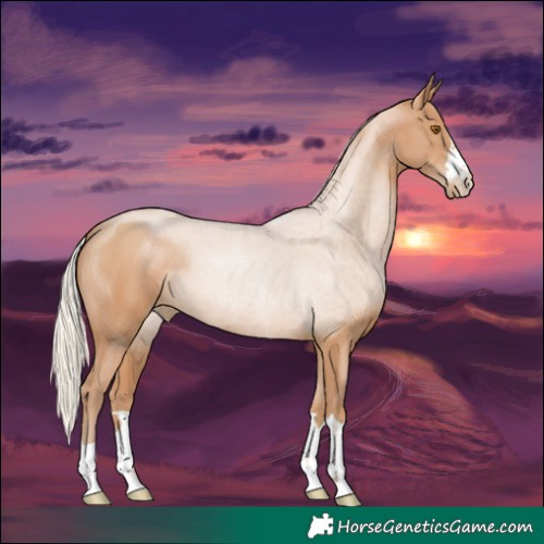 Horse Color:Silver Black Pearl 