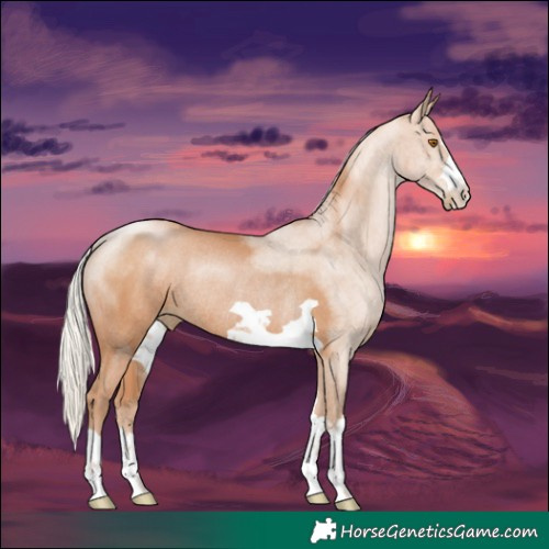 Horse Color:Silver Black Pearl Rabicano