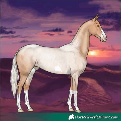 Horse Color:Silver Black Pearl Rabicano