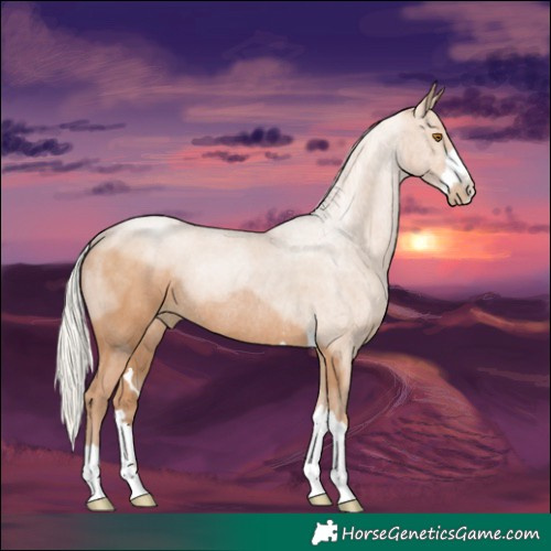 Horse Color:Silver Black Pearl Rabicano 