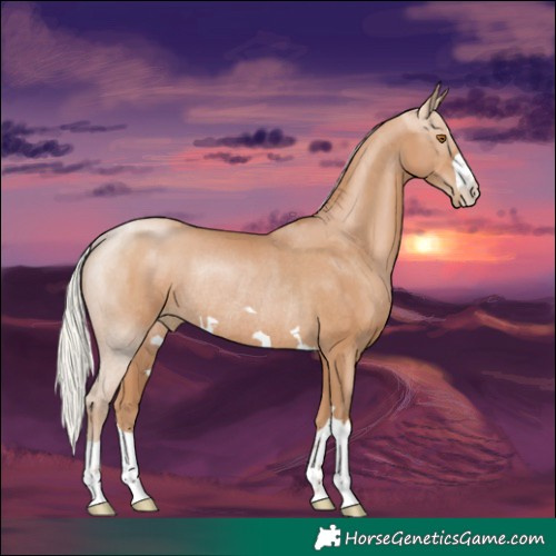 Horse Color:Silver Black Pearl Rabicano