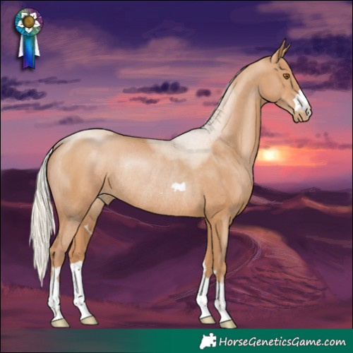 Horse Color:Silver Black Pearl Rabicano 