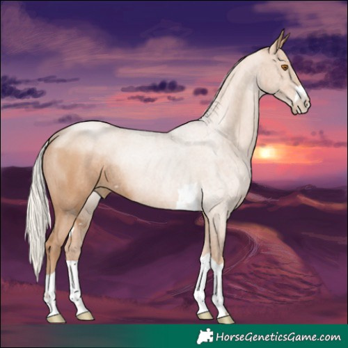 Horse Color:Silver Black Pearl Rabicano