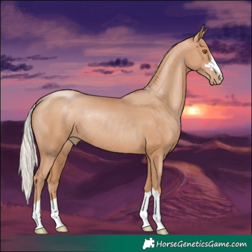 Horse Color:Silver Black Pearl Rabicano