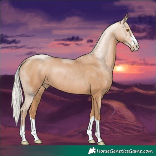 Horse Color:Silver Black Pearl Rabicano 