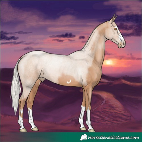 Horse Color:Silver Black Pearl 