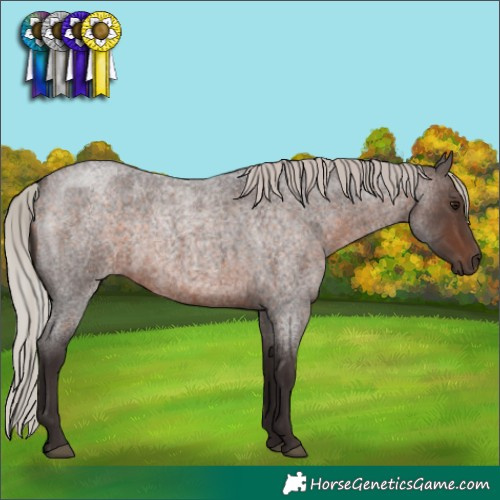 Horse Color:Silver Brown Roan