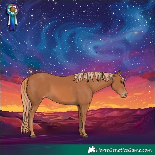 Horse Color:Chestnut Appaloosa