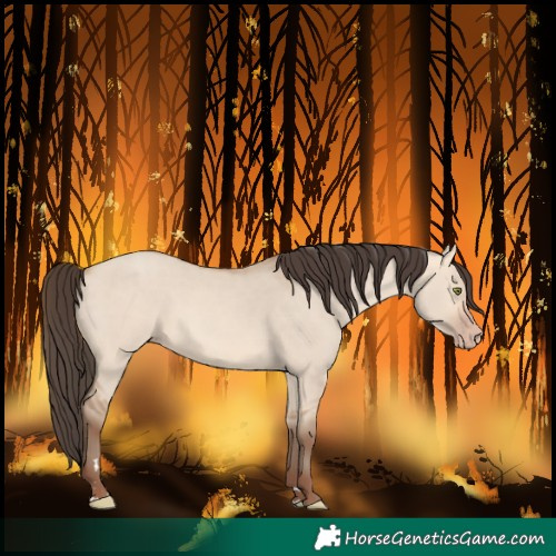 Horse Color:Amber Champagne Dun 