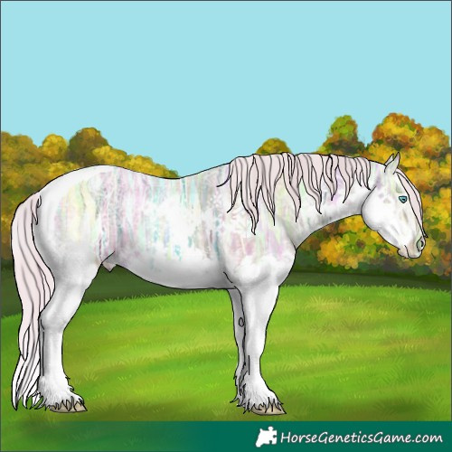 Horse Color:Watercolor Plaid  Silver Bay Ice Splash Tobiano 