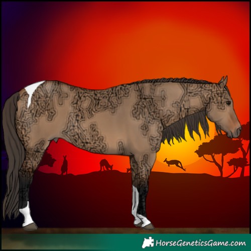 Horse Color:Bay Ice Dun Tobiano 