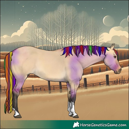 Horse Color:Painted Buckskin Dun Tobiano 