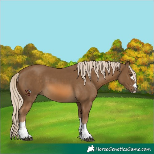 Horse Color:Chocolate Palomino 