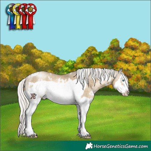 Horse Color:White Spotted Silver Smoky Black Snowdrop Sabino Splash Frame Rabicano 