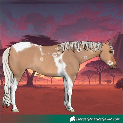 Horse Color:Silver Bay Dun Tobiano Rabicano