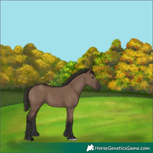 Horse Color:Liver Red Dun 