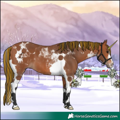 Horse Color:Painted Bay Tobiano 