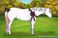 Horse Color:Bay Roan Appaloosa