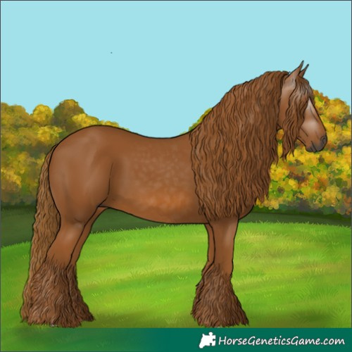 Horse Color:Gray Chestnut 