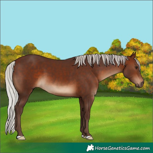 Horse Color:Silver Brown 