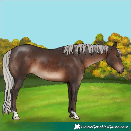 Horse Color:Silver Brown