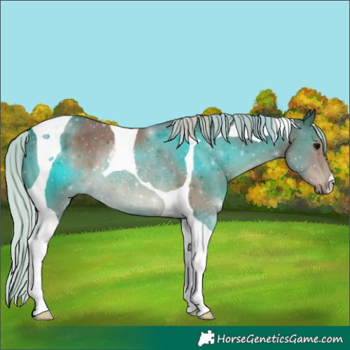 Horse Color:Silver Black Tobiano Rabicano 