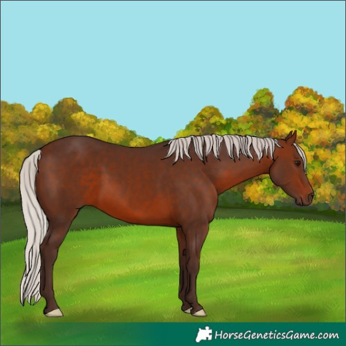 Horse Color:Silver Brown