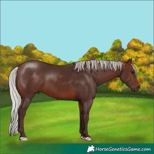 Horse Color:Silver Brown 