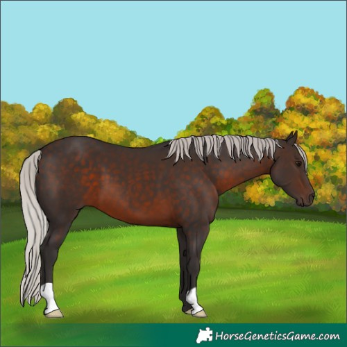 Horse Color:Silver Brown 