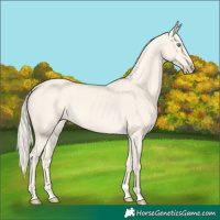 Horse Color:Cremello Dun Tobiano 