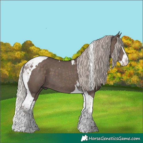 Horse Color:Silver Black Splash Tobiano 