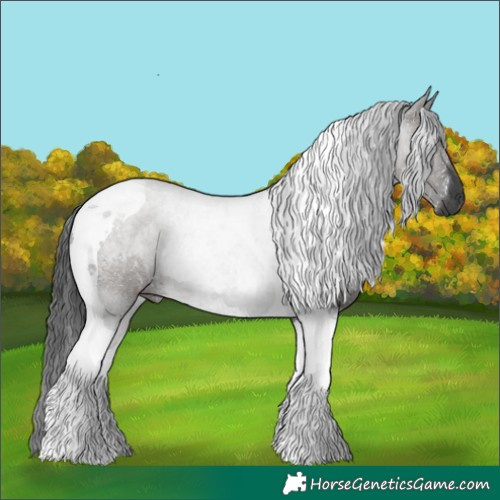 Horse Color:Grullo Tobiano 