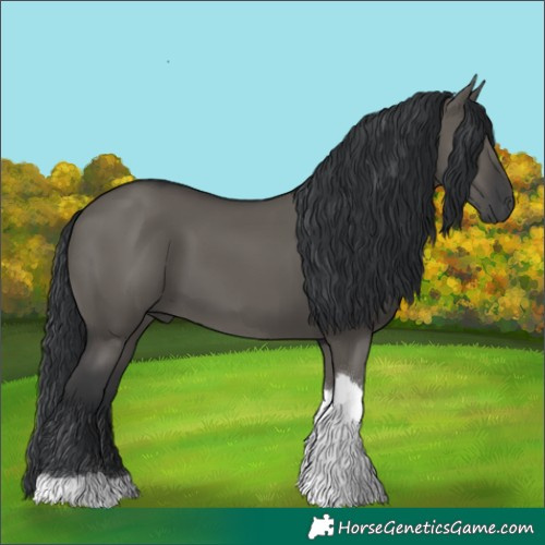 Horse Color:Grullo Tobiano 