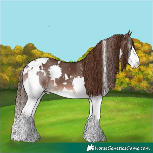 Horse Color:White Spotted Liver Chestnut Splash Tobiano