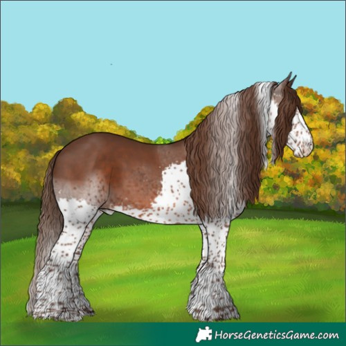 Horse Color:Liver Chestnut Splash Tobiano